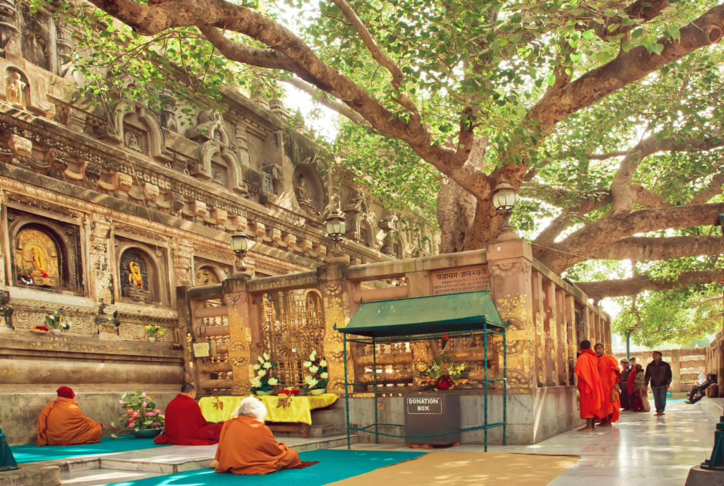 The Vajra Seat under the bodhi tree at Mahabodhi Temple, Bodhgaya, Bihar, India